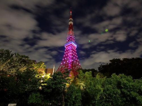 東京 タワー ワールド カップが開催される！
